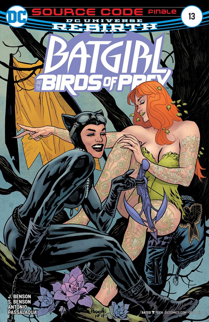 batgirl and the birds of prey 13 cvr