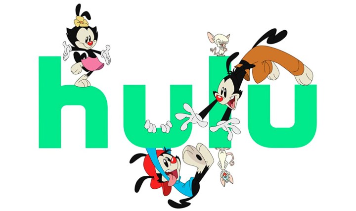 Hulu Animaniacs Header