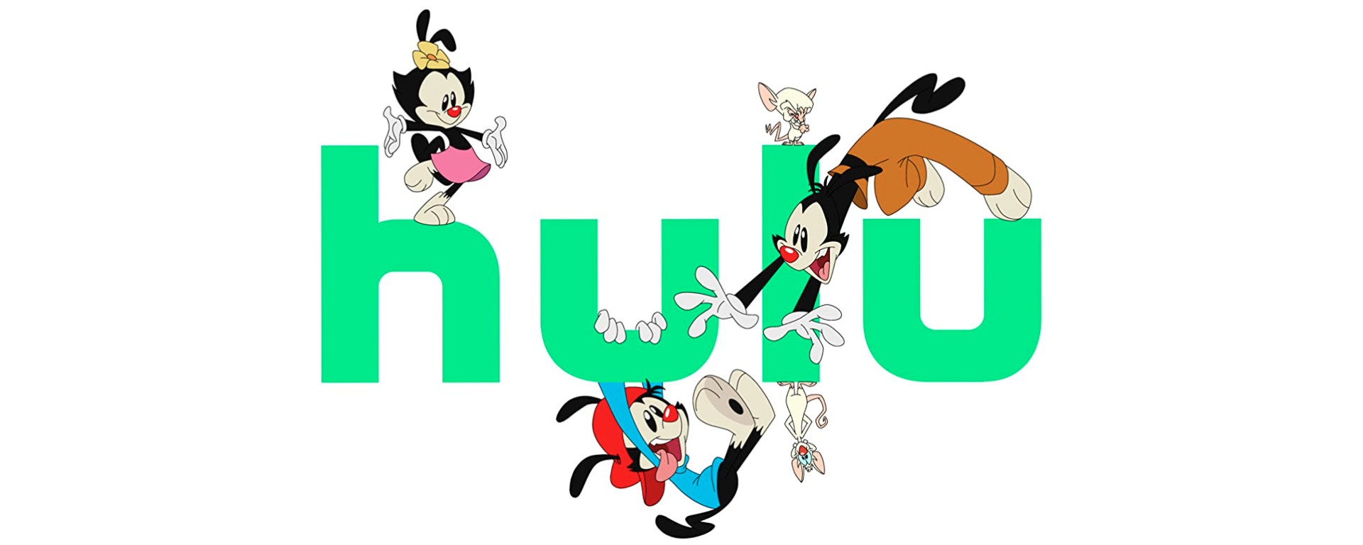 Hulu Animaniacs Header