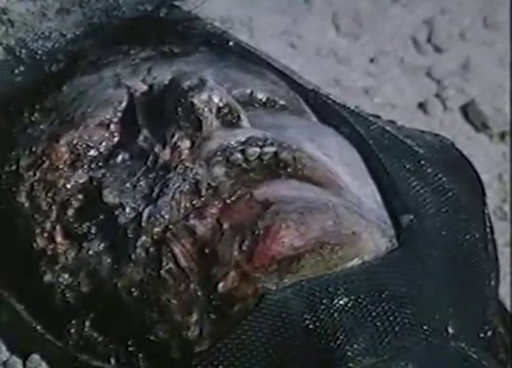 Jaws 5 Cruel Jaws - Corpse