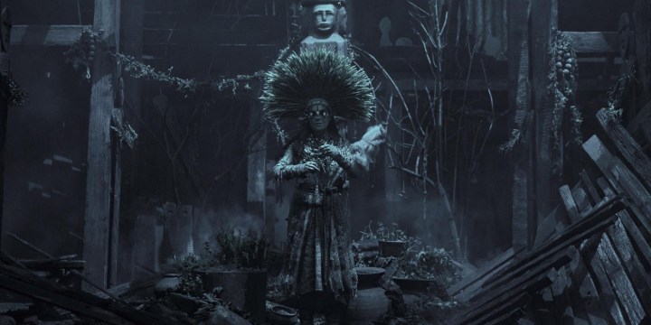 Bjork in The Northman