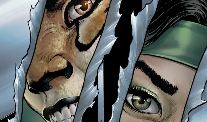 Cheetah-and-Cheshire-Rob-the-Justice-League1-Header