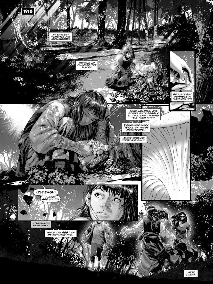 Savage Sword of Conan #16 Page 3